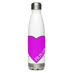 Stainless steel water bottle